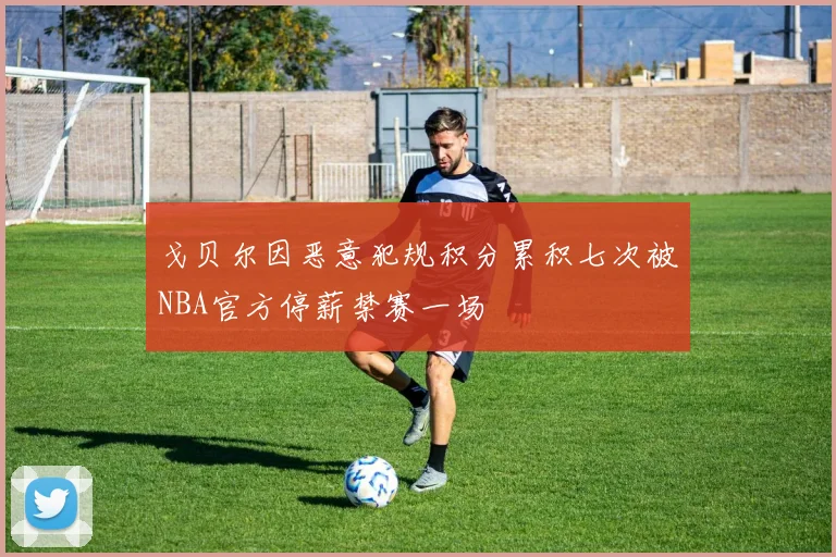 戈贝尔因恶意犯规积分累积七次被NBA官方停薪禁赛一场