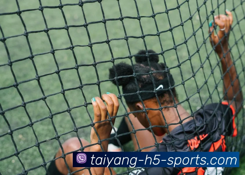 太阳城APP 封面图